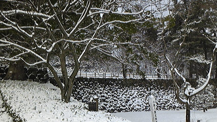 DVC00127 のコピー