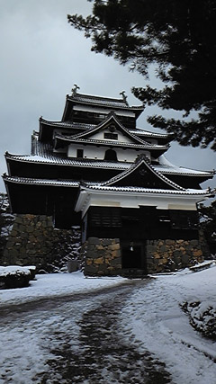 DVC00124 のコピー