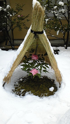 DVC00117 のコピー