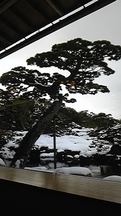 DVC00083 のコピー